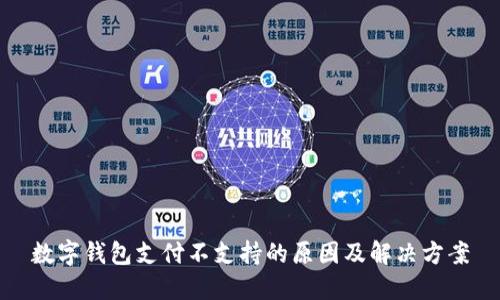 数字钱包支付不支持的原因及解决方案