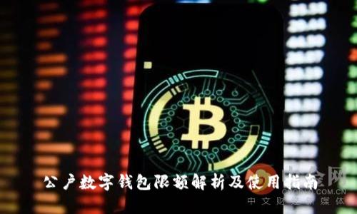 公户数字钱包限额解析及使用指南