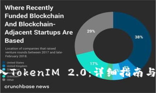 如何将DOT转入TokenIM 2.0：详细指南与常见问题解答