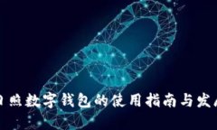 山东日照数字钱包的使用