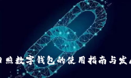 山东日照数字钱包的使用指南与发展前景