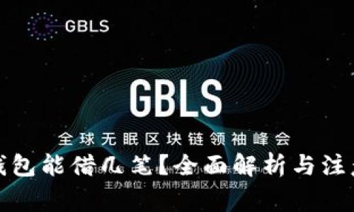 数字钱包能借几笔？全面解析与注意事项