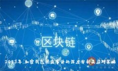  2023年：加密钱包被盗事件