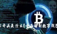 : 数字钱包001开头是什么？