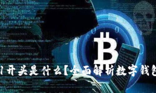 : 数字钱包001开头是什么？全面解析数字钱包的分类与应用
