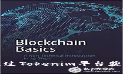 如何通过Tokenim平台获取盈利