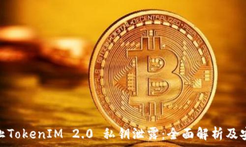   
如何防止TokenIM 2.0 私钥泄露：全面解析及安全措施
