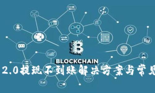 Tokenim 2.0提现不到账解决方案与常见问题解析