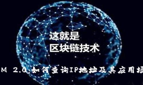 TokenIM 2.0：如何查询IP地址及其应用场景分析