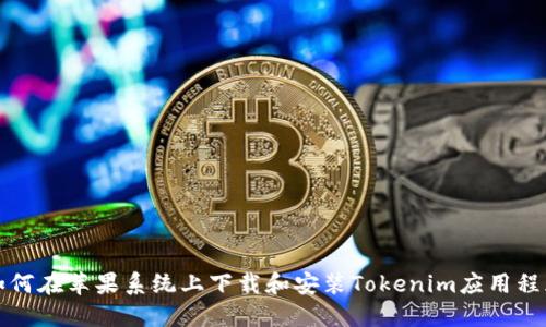 如何在苹果系统上下载和安装Tokenim应用程序