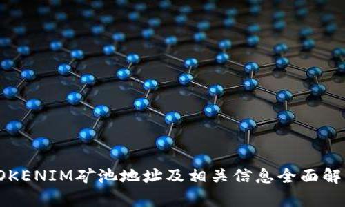TOKENIM矿池地址及相关信息全面解析