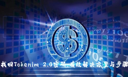 如何找回Tokenim 2.0密码：有效解决方案与步骤详解