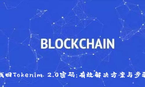如何找回Tokenim 2.0密码：有效解决方案与步骤详解