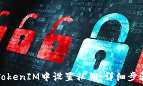   
如何在TokenIM中设置私钥：详细步骤与指南