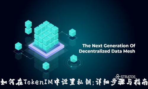   
如何在TokenIM中设置私钥：详细步骤与指南