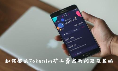 如何解决Tokenim矿工费高的问题及策略