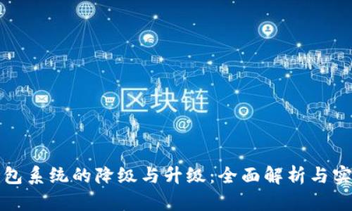 数字钱包系统的降级与升级：全面解析与实用指南