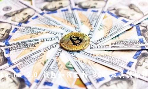 Tokenim 2.0 钱包如何支持 BSC 及其优势详解