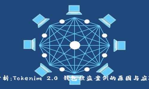 深入分析：Tokenim 2.0 钱包被盗案例的原因与应对措施