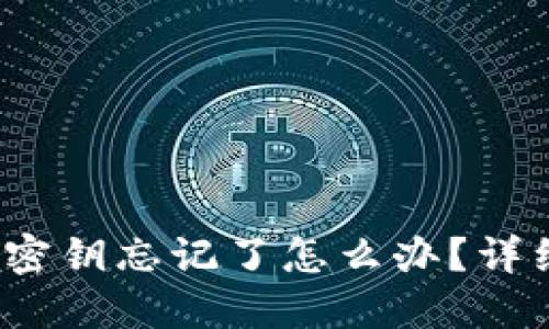 : TokenIM 2.0 密钥忘记了怎么办？详细解决方案与指南