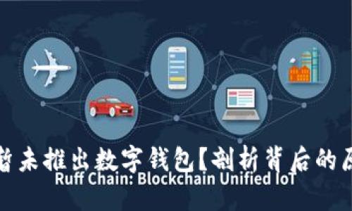 社保为何暂未推出数字钱包？剖析背后的原因与影响