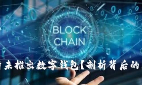 社保为何暂未推出数字钱包？剖析背后的原因与影响