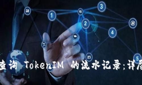 如何查询 TokenIM 的流水记录：详尽指南