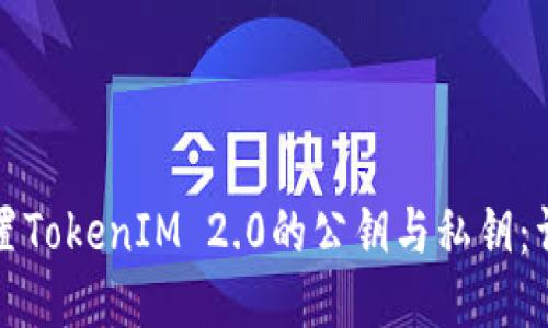 如何设置TokenIM 2.0的公钥与私钥：详细指南