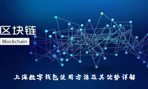 上海数字钱包使用方法及其优势详解