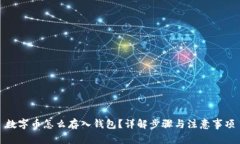 数字币怎么存入钱包？详解步骤与注意事项