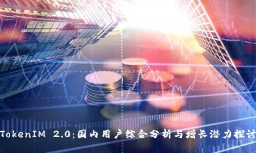 TokenIM 2.0：国内用户综合分析与增长潜力探讨