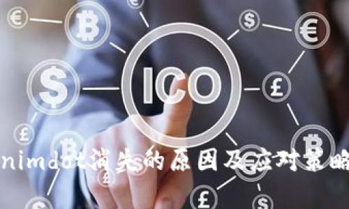 Tokenimdot消失的原因及应对策略分析