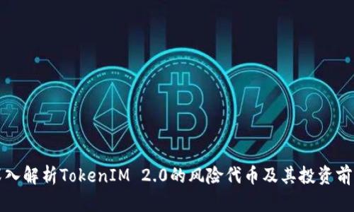 深入解析TokenIM 2.0的风险代币及其投资前景
