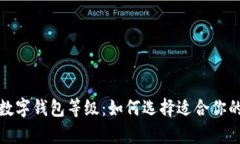 全面解析中国数字钱包等