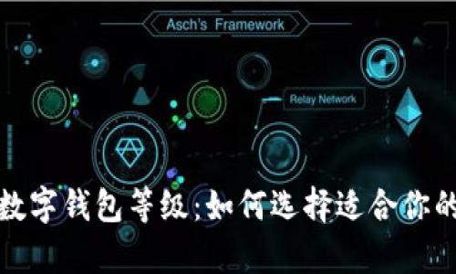 全面解析中国数字钱包等级：如何选择适合你的电子支付工具