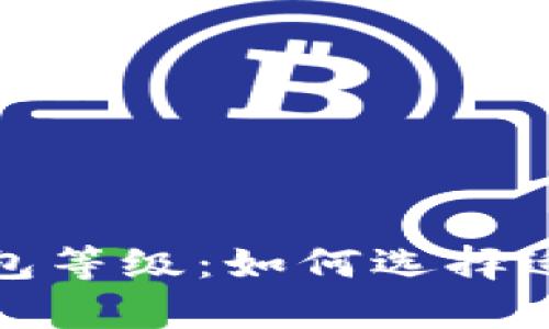 全面解析中国数字钱包等级：如何选择适合你的电子支付工具