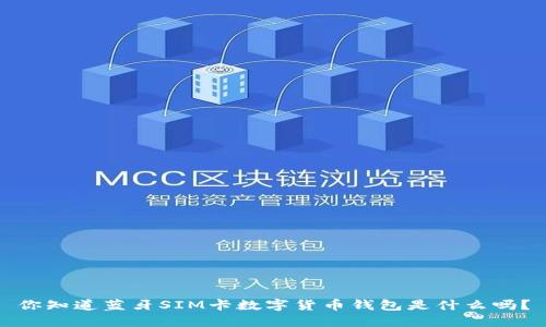 你知道蓝牙SIM卡数字货币钱包是什么吗？