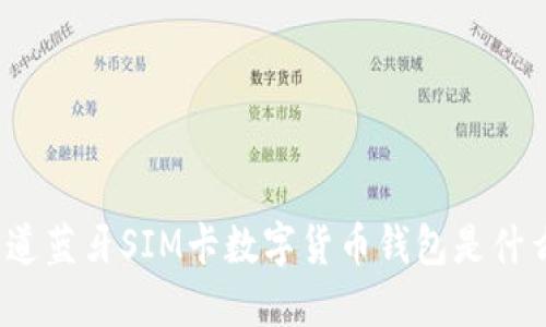 你知道蓝牙SIM卡数字货币钱包是什么吗？