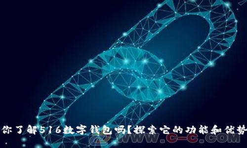 你了解516数字钱包吗？探索它的功能和优势