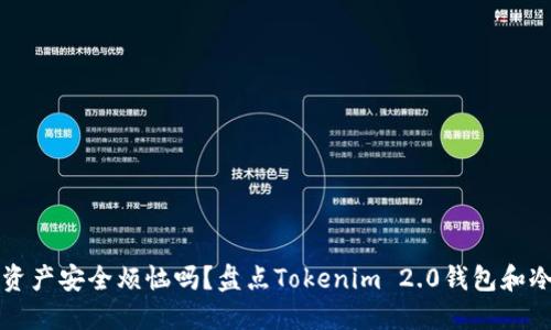 你还在为数字资产安全烦恼吗？盘点Tokenim 2.0钱包和冷钱包的优缺点