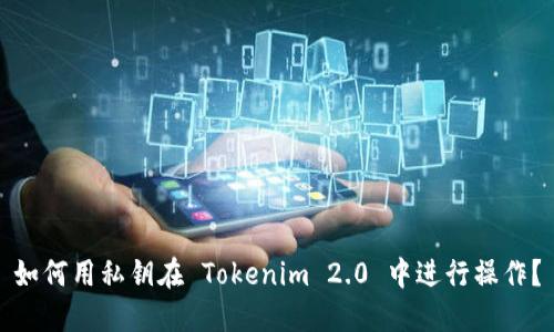 如何用私钥在 Tokenim 2.0 中进行操作？