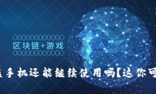 Tokenim 2.0被盗手机还能继续使用吗？这你可能不知道的真相！