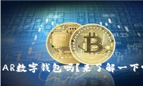 你知道什么是NEAR数字钱包吗？来了解一下它的强大功能吧！