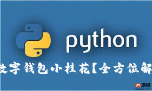 如何使用币壳数字钱包小桂花？全方位解读与实用技巧！