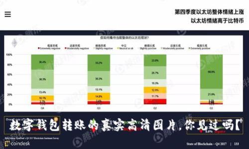 数字钱包转账的真实高清图片，你见过吗？