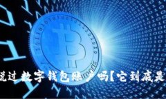 你听说过数字钱包账户吗？它到底是什么？