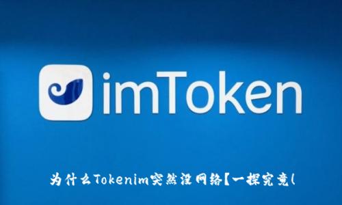 为什么Tokenim突然没网络？一探究竟！