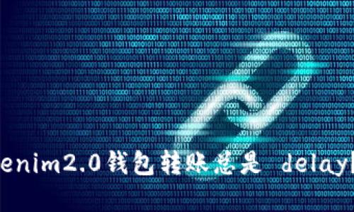 为什么你的Tokenim2.0钱包转账总是 delay？让我们来看看！