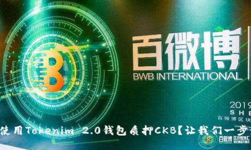 如何使用Tokenim 2.0钱包质押CKB？让我们一步步来！