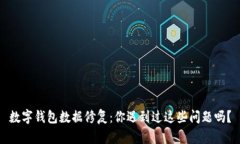 数字钱包数据修复：你遇到过这些问题吗？